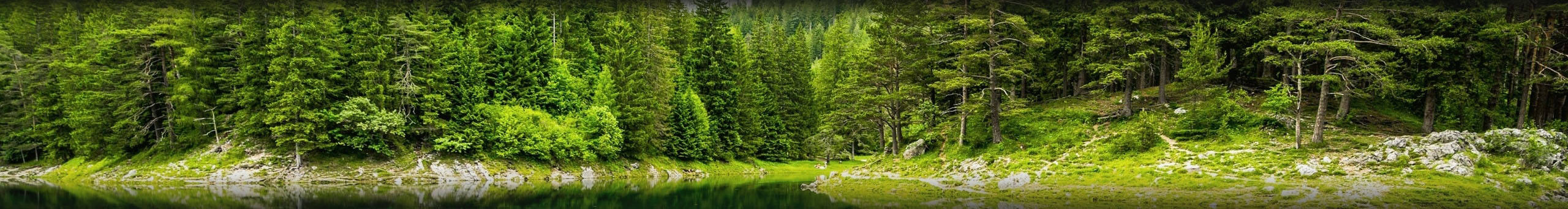 Earth phpBb theme Earth nature field